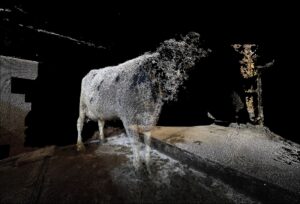 03_© Daniel Szalai___9785 Standing_2021_from the series Unleash Your Herd_s Potential