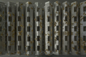 An industrial cricket rearing system in Thailand.

Crickets are among the most common insects farmed for human consumption. In Southeast Asia, where crickets have been consumed for centuries, insect farming offers a solution to declining natural populations and helps preserve biodiversity.