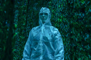 Inside the black soldier fly adult room at an industrial production site in Italy. 

The color and frequency of light play a crucial role in optimizing BSF reproduction. 

The adult black soldier fly has a short lifespan, typically between 5 and 9 days. During this time, its primary focus is reproduction. Adults do not feed, and once mating is complete, they die. These characteristics make them extremely efficient contributors to waste management and various ecological processes.