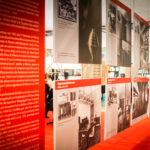 FOTO COLLATERALE ALBINI_Ph Danilo Marchesi43