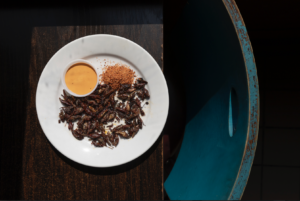 15_© Umberto Diecinove __ I N S C T S