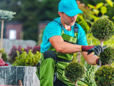 Decorative Plants Trimming