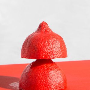 Larissa Ambachtsheer, Red Lemon, 2017, fine art print, Courtesy Project 2.0 / Gallery Den Haag